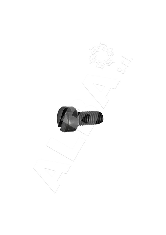 VITE PIEDINO PER COPERTURA F007  SK241