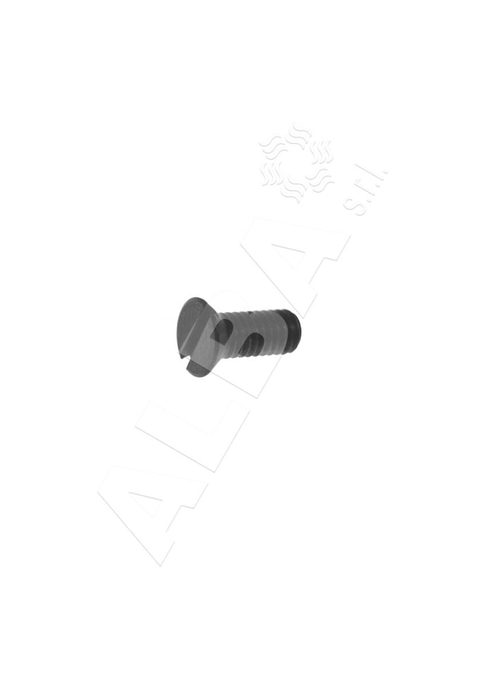 VITE PLACCA COPERTURA SIRUBA F007 SK539