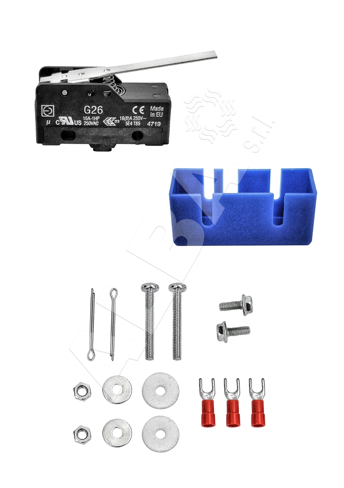 MICROINTERRUTTORE G26